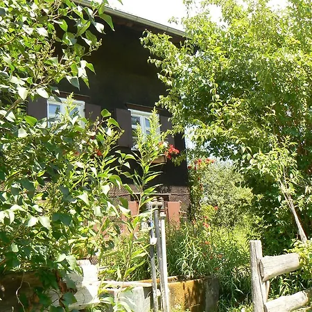 Hiemer Διαμέρισμα Sulzberg